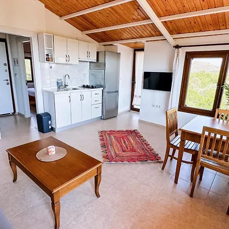 Duru Homes 公寓式酒店 *