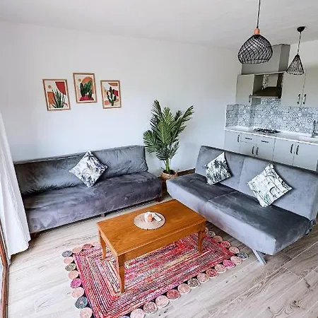 公寓式酒店 Duru Homes