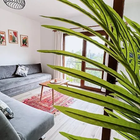 Duru Homes