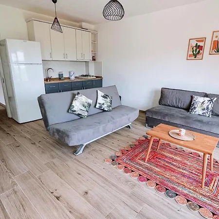 公寓式酒店 Duru Homes 达特恰