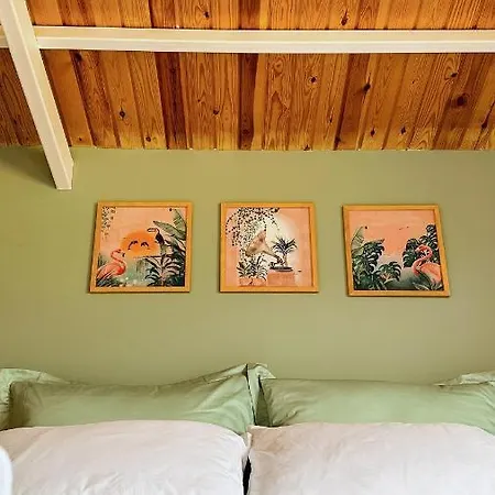 Duru Homes Datça