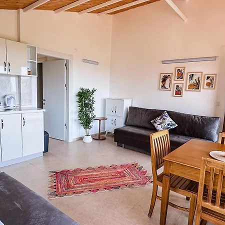 Duru Homes Datça